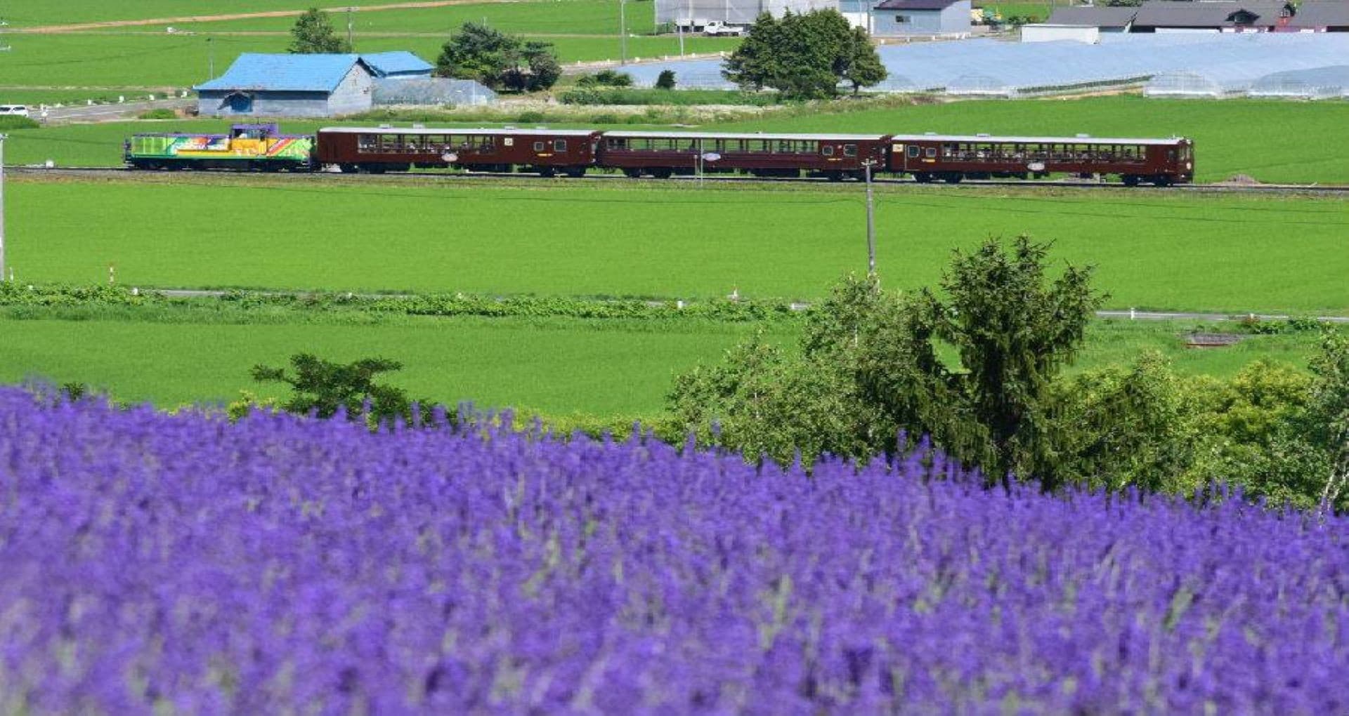 JR Hokkaido Rail Pass - image 8